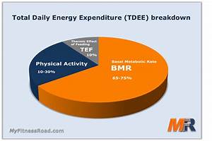Difference Between Bmr And Tdee Mocksure