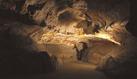 Grotte De Lascaux à Montignac Camping La Nouvelle Croze