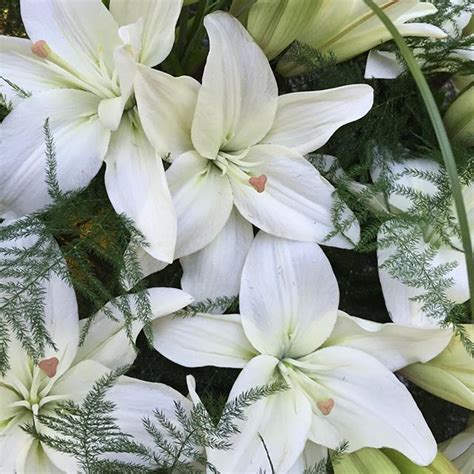 The Bloomery On Instagram Pure And Simple White Lilies For A