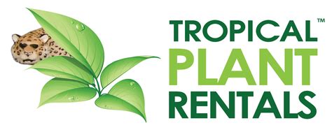 Gbca Member Tropical Plant Rentals Green Building Council Australia