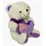 DANR Medium Sized Very Cute And Beautiful Soft Toy Teddy Bear For Girls 