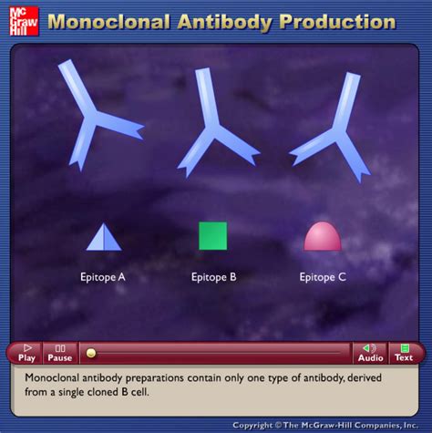 So are other therapies necessary or valuable? Monoclonal Antibody Production.swf / Produksi Antibodi ...