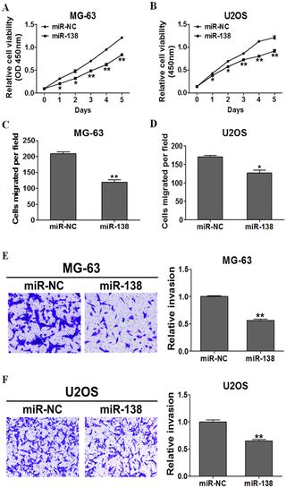 mir 138 acts as a tumor suppressor by targeting ezh2 and enhances cisplatin induced apoptosis in