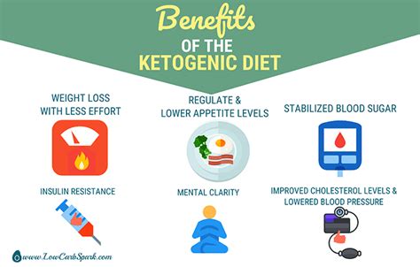 The Ketogenic Diet A Complete Keto Diet Beginner To Keto