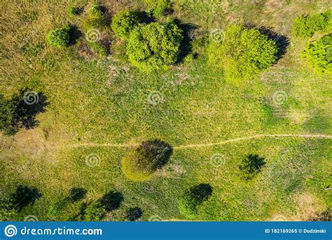 Top View Aerial Shot Of Green Field With Grass And Trees Stock Image