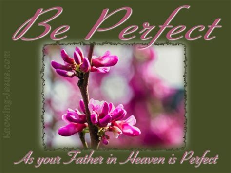 15 Bible Verses About Perfection
