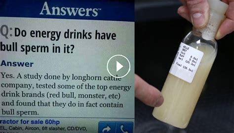 Energy Drinks Contain Ingredient Extracted From Bull Urine