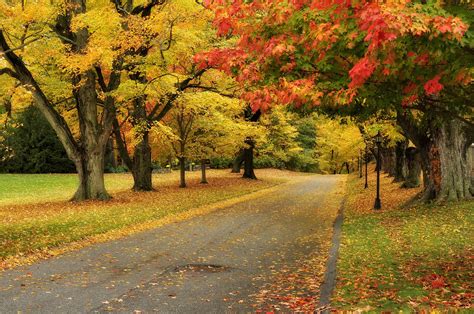 Connecticut Fall Foliage Driving Tours
