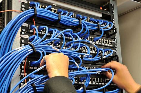 Data Cabling Services All You Need To Know Polyphonichmi