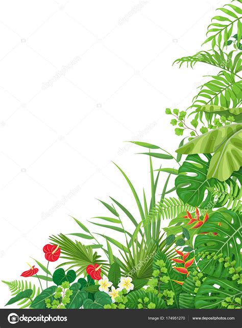 Side Corner Border with Tropical Plants — Stock Vector © Valiva #174951270