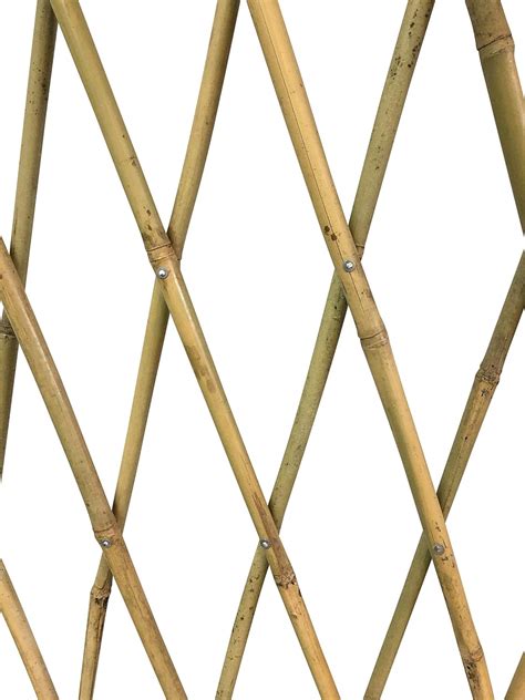 Expandable Bamboo Poles Trellis With Aluminum Rivets 48 Plant Support