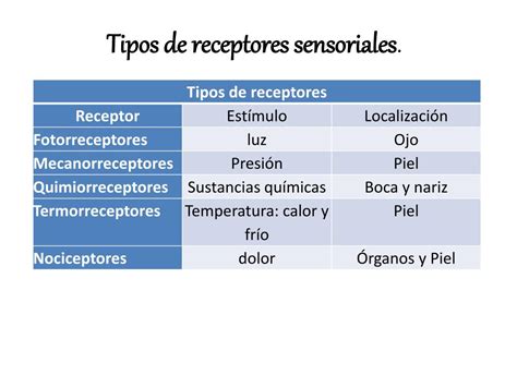 Ppt Unidad N° 5 Los Receptores Sensoriales Powerpoint Presentation