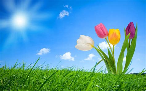 spring hd wallpapers backgrounds hd wallpapers backgrounds