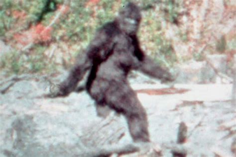 Scientist Savaged For Bigfoot Claim