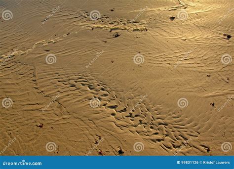 Gewellte Sandmuster Im Nassen Sand Auf Dem Strand Stockfoto Bild Von