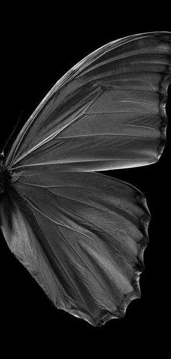 Pin By Semira Chennault On • Black And White Iphone Wallpaper Themes
