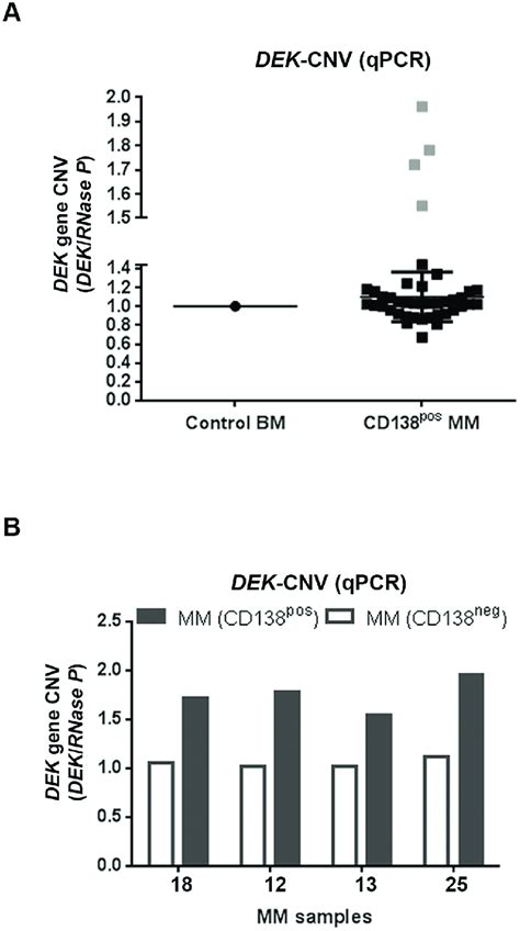 Copy Number Variation Cnv Of The Dek Gene In Cd138 Positive Cells