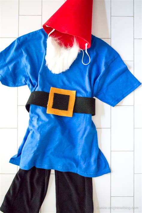 Garden Gnome Costumes For Adults