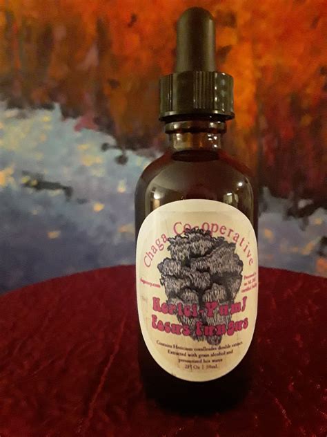Lion's mane can be chopped and sauteed like most culinary. Wild Alaskan Lion's Mane Tincture ⋆ Birch Gold Chaga