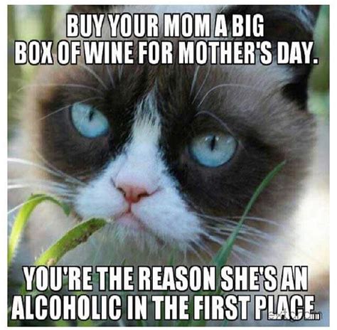 Mothers Day 2017 Best Funny Memes