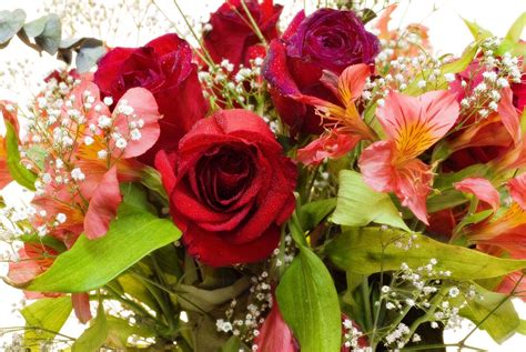 ¿cuáles Son Las Flores Más Bonitas Para Un Ramo Flowers Plants Rose