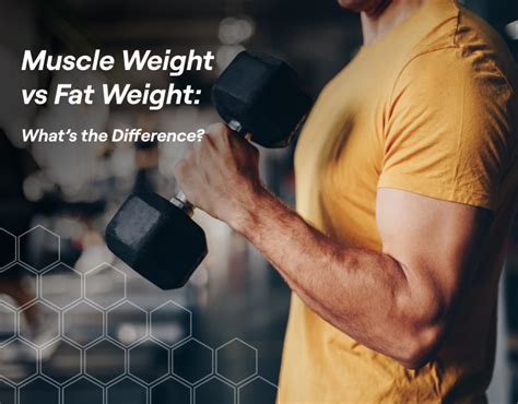 Muscle Weight Vs Fat Weight Whats The Difference Fitbod