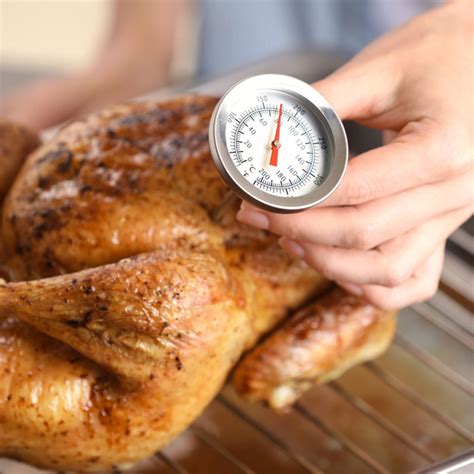 Where Should Thermometer Be Placed In Turkey How To Use A Meat