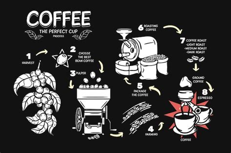 Free Vector The Perfect Cup Of Coffee Process