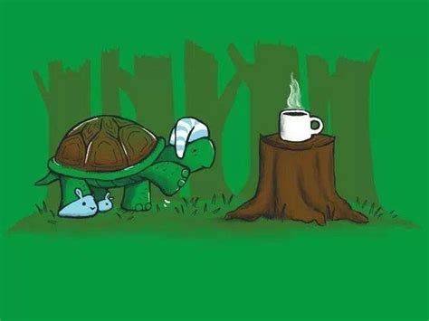 Turtles Sleep And Coffee Slow Mornings Coffee Art Coffee Illustration