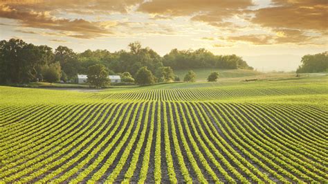 How Will Midwest Farmers Prepare For The Impact Of Climate Change Grist