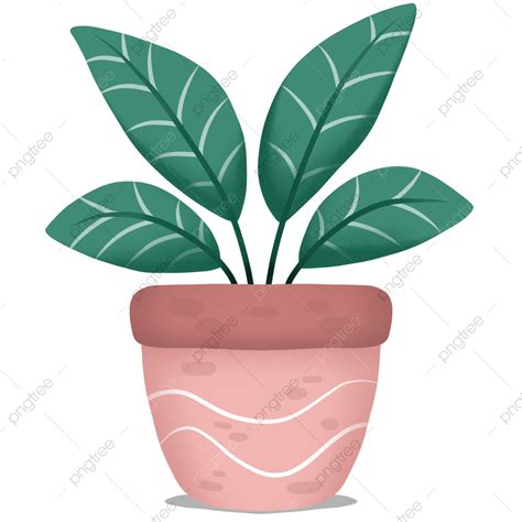 Green Potted Plants Hd Transparent Aesthetic Green Plant In A Pot Aesthetic Plant Pot Png