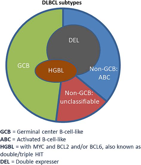 Diffuse Large B Cell Lymphoma Germinal Center Type Treatment