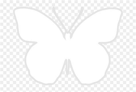 Transparent Butterfly Images Black And White - lvandcola