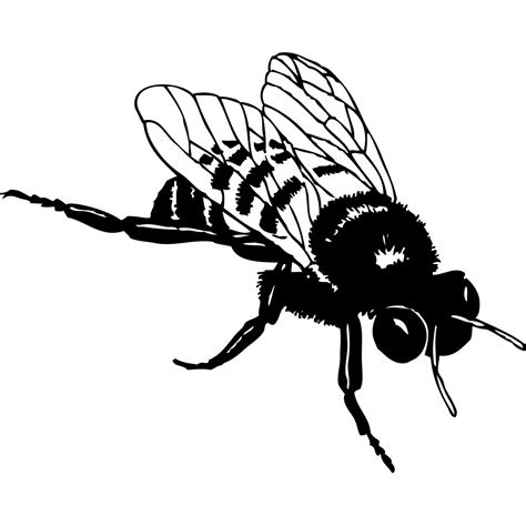 Bumble Bee Png Svg Clip Art For Web Download Clip Art Png Icon Arts