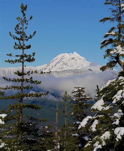 Mount Garibaldi From The Chief Overlook Photograph By Kristin Piljay