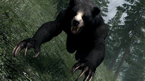 Refined Werebear Replacer Sse At Skyrim Special Edition Nexus Mods