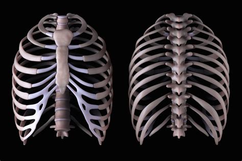 Some possible causes include gastrointestinal issues and conditions or injuries that affect certain organs in the upper left side of the body. What You Need to Know About the Thoracic Spine