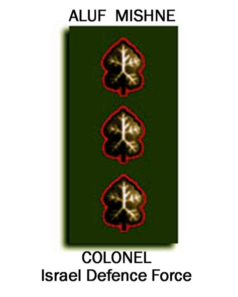 To bridge the quantitative gap with its potential enemies, the israel defense forces (idf) has relied on a number of factors: Israel Defence Force Colonel Rank Insignia : Herbert ...