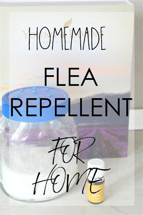 Homemade Flea Killer Homemade Flea Spray Flea Spray For House Flea