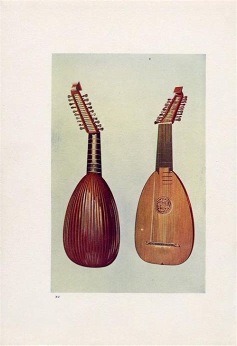 Antique Musical Instrument Lute Stringed Instrument Vintage Lute