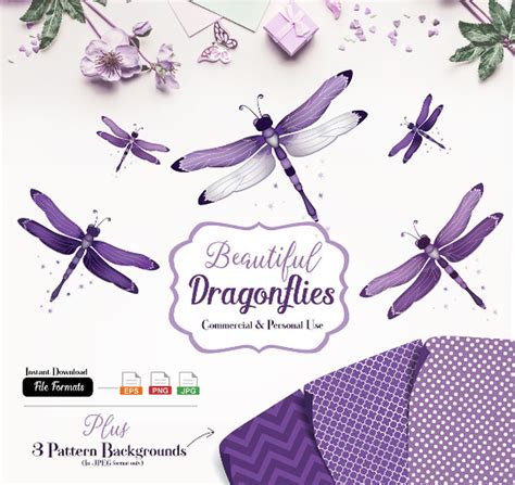 Purple Gray Dragonfly Clip Art Vector Illustrated
