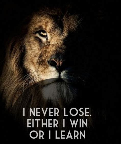 “i Never Lose Either I Win Or I Learn” 👩🏼‍🏫 Aslan Quotes Lioness