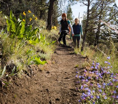 Central Oregon Wildflowers — Deschutes Land Trust