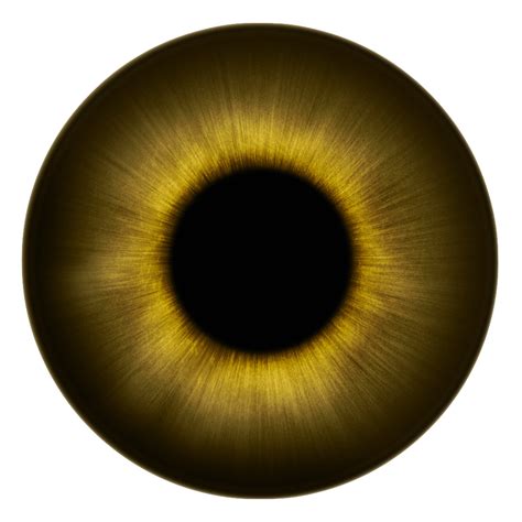 Free Eye Vector Download Free Eye Vector Png Images F - vrogue.co