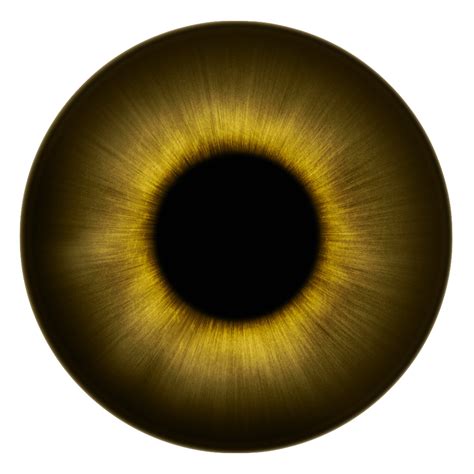 Eye Pupil Transparent Background Png Png Arts