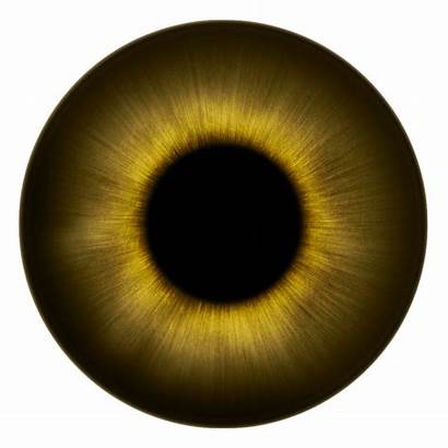 Eye Transparent Pupil Background Eyeball Lens Eyes