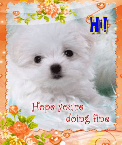 Hope You’re Doing Fine Free Hi Ecards Greeting Cards 123 Greetings