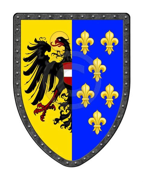 A Coat Of Arms With The Colors Of Blue Yellow And Red On Its Shield