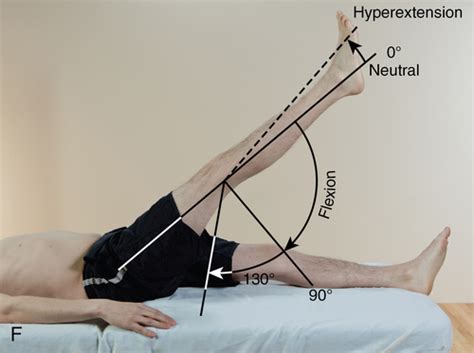 Anatomy and physiology | Musculoskeletal Key