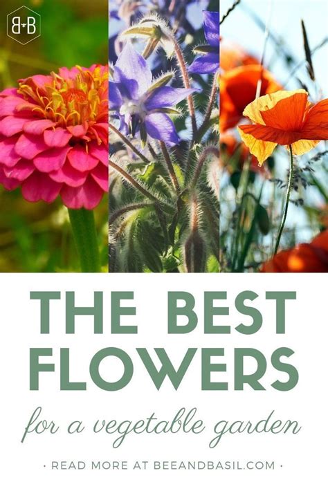 Costa georgiadis explains how to grow your invisible garden, best 'risky' garden for kids, winning the war on insects spring is here and that means the mother of all. Wanting to grow organic? These are the best flowers for a ...